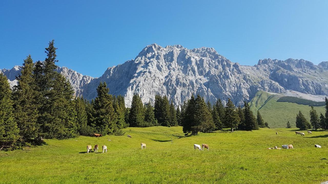 Villa Alpenpanorama Ohlstadt Esterno foto